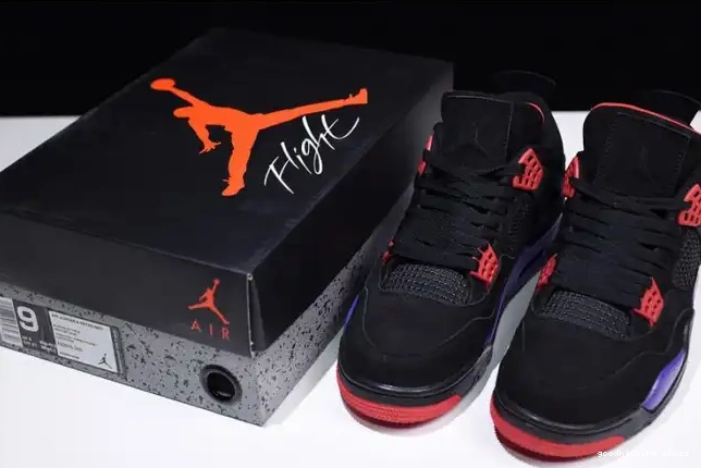 Air 4 Jordan NRG Retro AQ3816-065 Raptors
